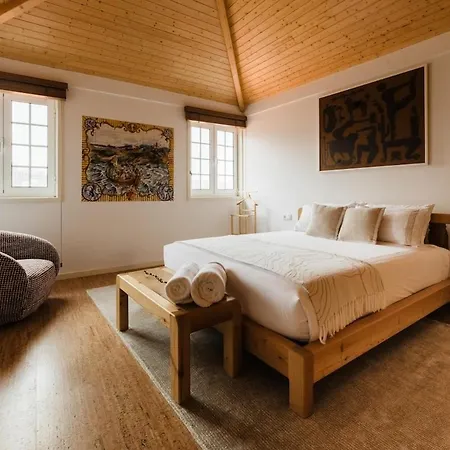 公寓 The Duke'S Luxury River House 波尔图